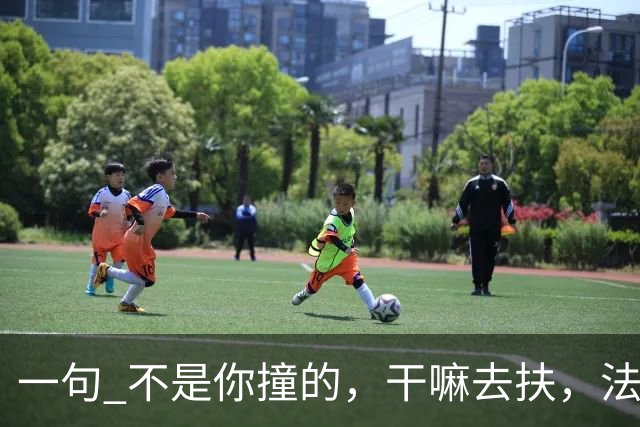 一句 "不是你撞的，干嘛去扶"，法官被调离法院，20年后他过得怎