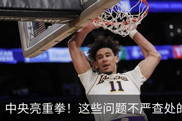 中央亮重拳！这些问题不严查处的，直接追究地方领导责任！
