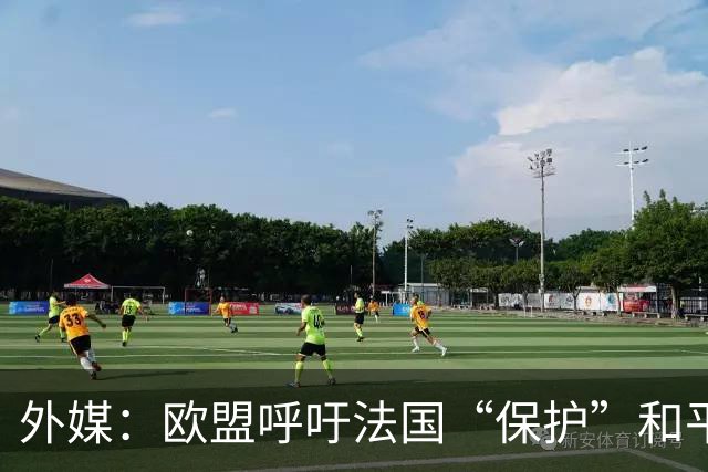 外媒：欧盟呼吁法国“保护”和平示威权利，并谴责暴力
