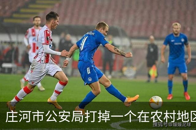 庄河市公安局打掉一个在农村地区欺行霸市的涉恶团伙