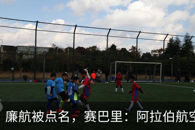 廉航被点名，赛巴里：阿拉伯航空是世界上最差的航空公司