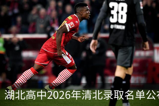 湖北高中2026年清北录取名单公布