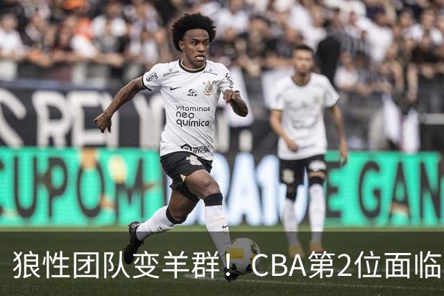 狼性团队变羊群！CBA第2位面临下课主帅曝光，发布会怒喷70%球员不在线，却说自己问心无愧！评论区一边倒