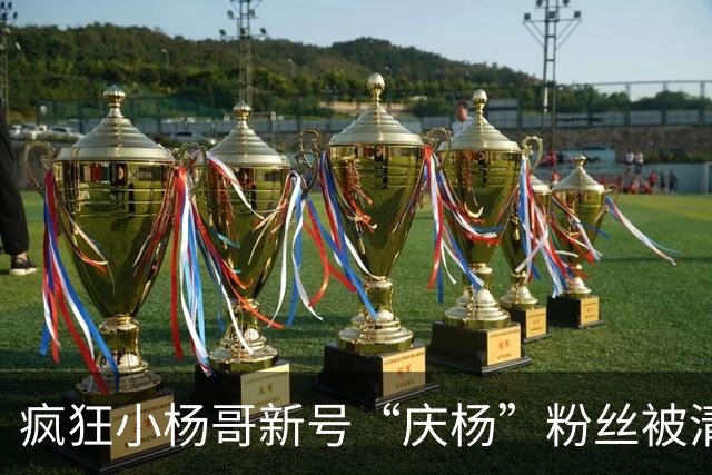 疯狂小杨哥新号“庆杨”粉丝被清零，新增关注也不计入粉丝量
