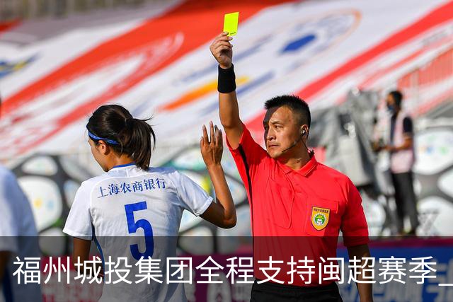 福州城投集团全程支持闽超赛季 福州队2:1夺冠摘首届桂冠