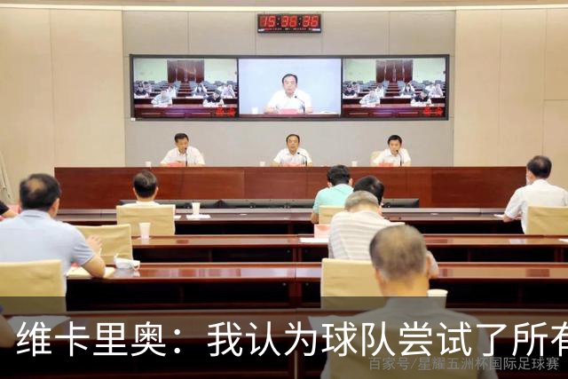 维卡里奥：我认为球队尝试了所有可能的方法去赢得比赛